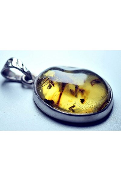 TAŞMABETİ Damla Kehribar Sinek Fosilli Gümüş Kasa Kolye Ucu Doğal Taş