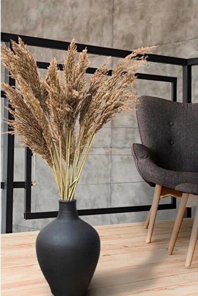 Alyones 10 Adet Natural Kabarık Pampas