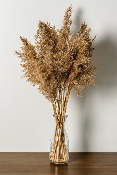 Alyones 10 Adet Görkemli Kurutulmuş Pampas Bitkileri Kabarık Pampas Otları, Yapay Çiçek, Vazo Dahil Değildir