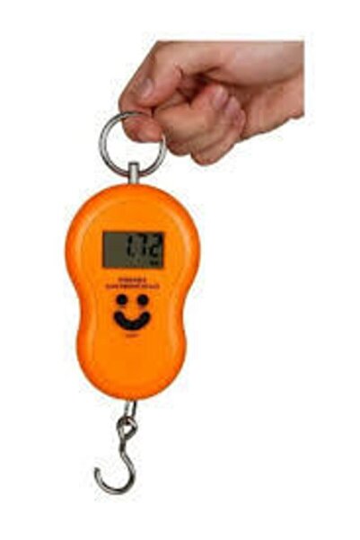 Genel Markalar Lektronik Dijital El Kantarı 50 Kg Terazi Tartı 10 gr Hassas