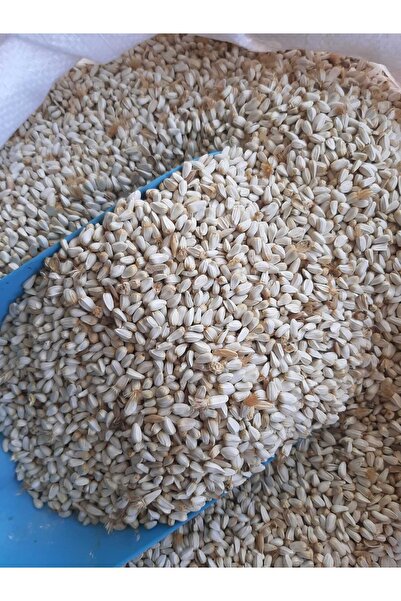 M&H Aspir Tohumu Güvercin Sultan Papağanı Yemi (4 kg)