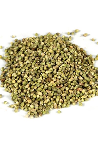 ELİF CANDAR Tohum Kekik (100 Gr.)