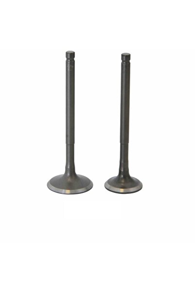 Mondial Sibob Takımı Mash 150 Orijinal