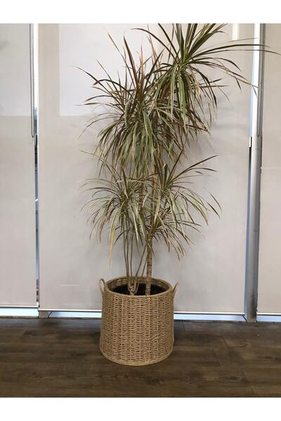 Veneris Design Hasır Saksı, Çiçeklik, Sepet Saksı