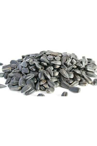 kuruttum Kemirgenler Için Ödül Ay Çekirdeği 100 Gr.