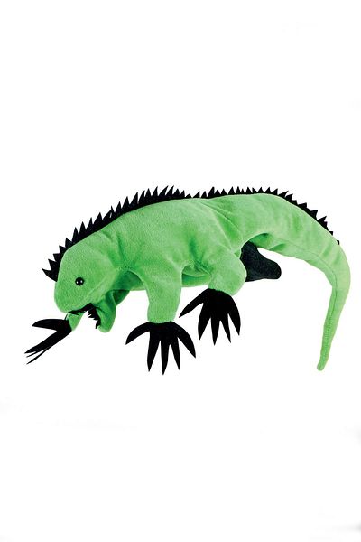 Beleduc Iguana Puppet