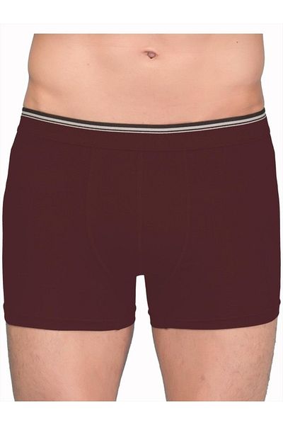 BERRAK İÇ GİYİM Berrak Men's Lycra Boxers 1097 Gray L