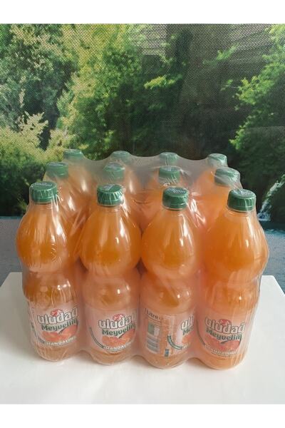 Uludağ Meyvelim Mandalina 1 Lt* 12 Adet