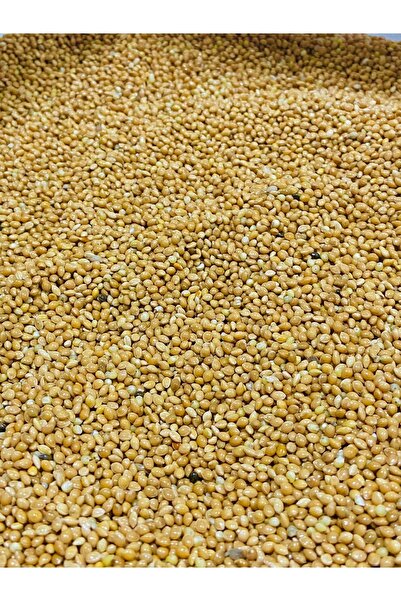 MUHABBET Sarı Darı 1kg