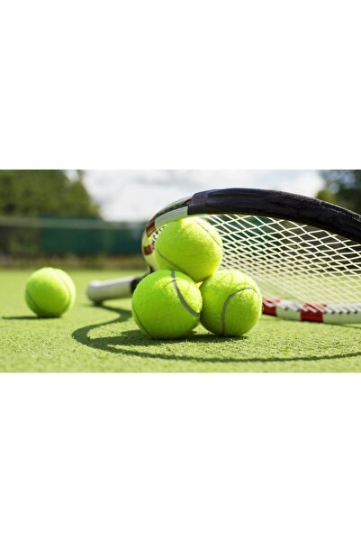 Leyaton Tenis Topu Fileli 12li Sarı