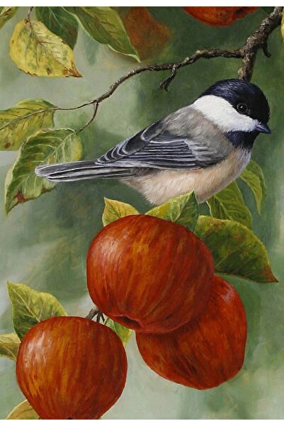 Detay Fotokopi Bursa Toptan Kâğıt Rölyef Poster - Çiçek Resimleri - 33*48 (10 ADET) 300 Gr. Kuşe