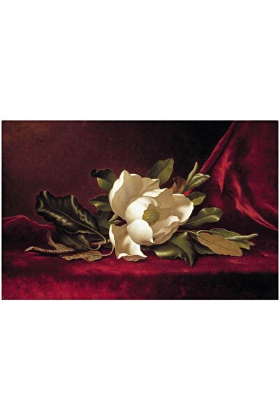 Detay Fotokopi Kâğıt Rölyef Poster - Çiçek Resimleri - 33*48 (10 ADET) 300 Gr. Kuşe