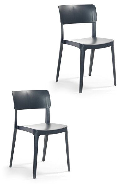 Alezy Pano Renkli Sandalye 2'li Set Antrasit