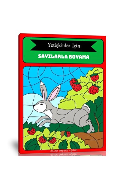 Enine Boyuna Eğitim Yetişkinler Için Sayılarla Boyama Kitabı