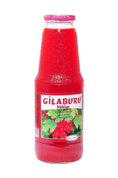 Kayseri Pazarı Gilaburu Nektar 1 Lt