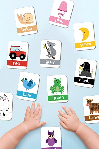 Little One Ahşap Eğitici Kartlar Renkleri Öğreniyorum Ingilizce Öğrenme Kartları Flash Cards