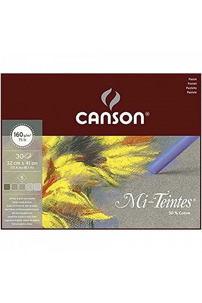 Canson Mi-tientes 5 Grey Color 160g Pastel Block 30 Sheets 32x41cm
