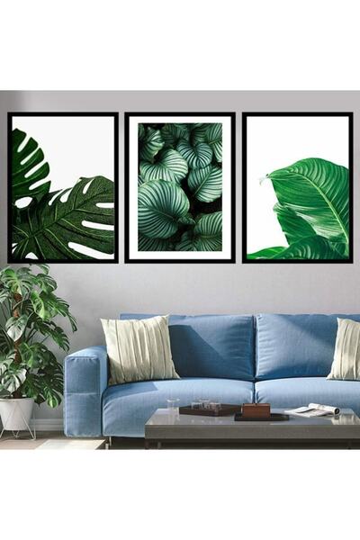 Araste Çerçeve & Dekorasyon Monstera & Yaprak 2 Üçlü Çerçeve Ve Poster Seti -...