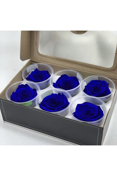 Rose Amor Şoklanmış/ Solmayan Gerçek Gül ( 6’lı Parlement Mavisi )