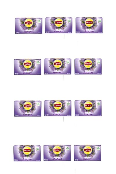 Lipton كوب شاي أعشاب بالمريمية - 20 كيس، 1.5 جرام × 12 قطعة