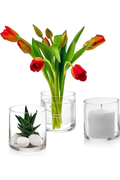 P H Panayır Home 1 Tane Cam Düz Masa Üstü Yuvarlak Vazo, Silindir Saksı Mumluk, Çiçeklilk 10x10 Cm