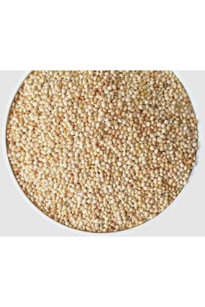 MALATYAYEM Ak Darı - Muhabbet Kuşu Yemi 25kg