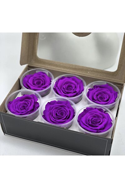 Shocked / Unfading Purple 6-Piece Rose