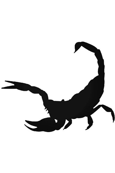Universal Αυτοκόλλητο Scorpion Car Auto Arma Αυτοκόλλητο τοίχου 20 cm