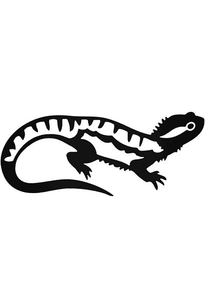Universal Iguana Sticker Car Auto Rigging Wall Sticker 20 Cm