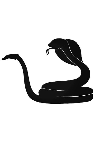 Universal Αυτοκόλλητο Snake Cobra Αυτοκόλλητο Αυτοκόλλητο Τοίχου Αυτοκόλλητο Αυτοκόλλητο Σπιτιού Διακοσμητικό Αυτοκόλλητο 20cm