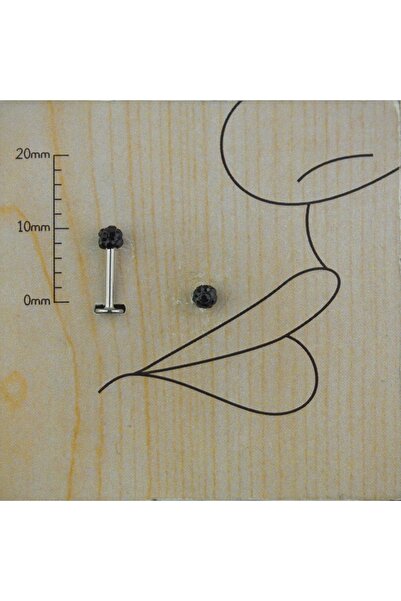 TAKIDAN Shambala Kristal Siyah Cerrahi Çelik Dudak Kıkırdak Tragus Helix Conc...