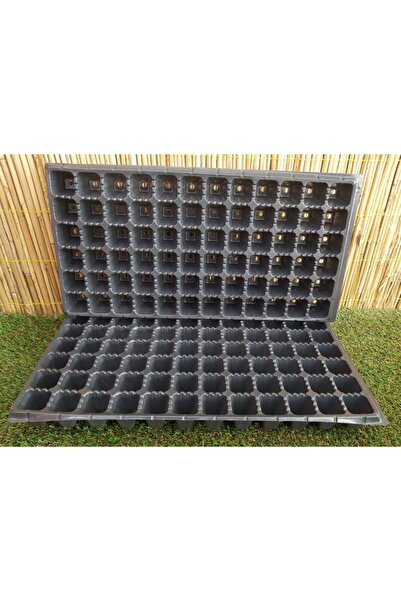 Doğalsan Tarım Fide Viyolü 72 Göz 3 Adet Fide Viyol Fide Viyolleri Fide Yetiş...