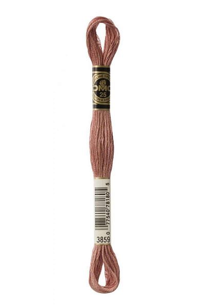 Dmc Muline Embroidery Thread - 3859