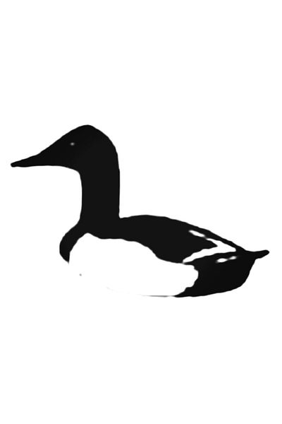 Universal Duck Hunt 5037 Canvas Back Sitting On The Water Αυτοκόλλητο Αυτοκόλλητο Αυτοκόλλητο Τοίχου Αυτοκόλλητο 20 εκ.