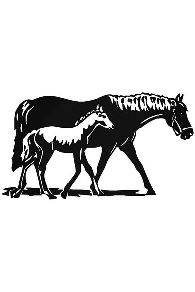 Universal Horse Foal Sticker Car Auto Fixture Wall Sticker 20cm