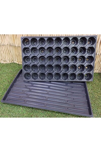 Asenya 4 Adet 45 Göz Fide Viyolü Ve 4 Adet Fide Viyol Tepsisi Fide Viyolleri ...