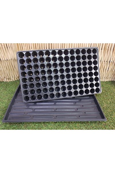 Asenya 5 Adet 104 Göz Fide Viyolü Ve 5 Adet Fide Viyol Tepsisi Fide Viyolleri...