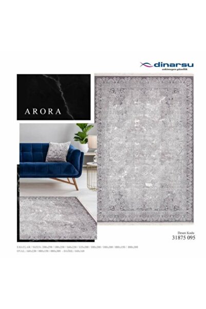 Dinarsu Arora 31885_095