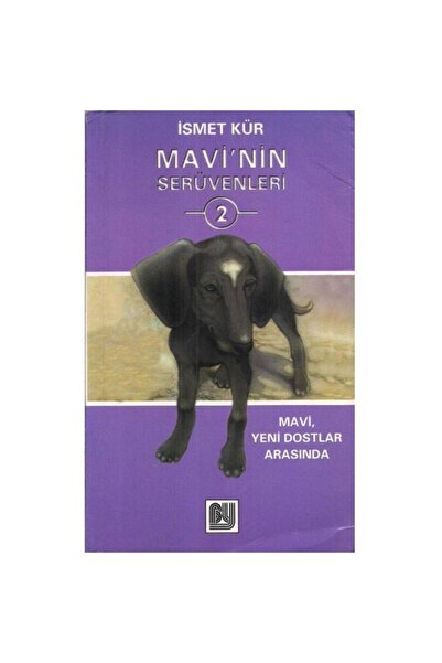 Bu Yayınevi Mavi'nin Serüvenleri 2 - Ismet Kür