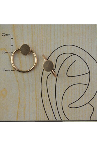 TAKIDAN Disk Rose Halka Cerrahi Çelik Kıkırdak Tragus Septum Meme Piercing&kü...
