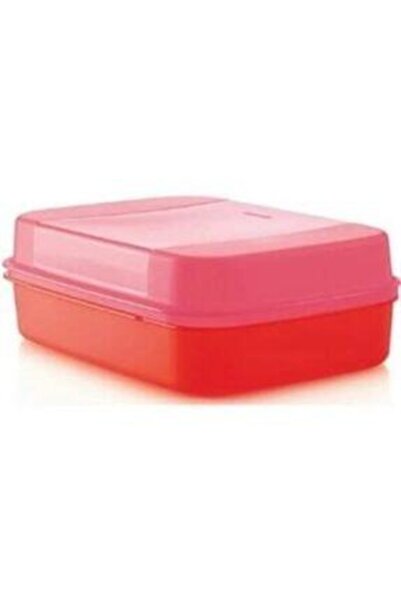 Tupperware Büyük Boy Saklama Kabı 2.4 Litre F20