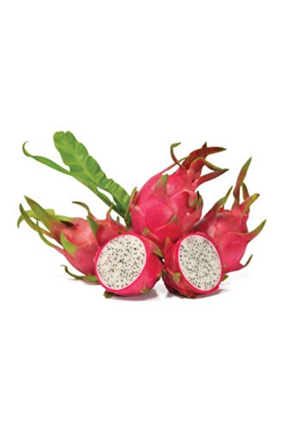 Genel Markalar Ejder Meyvesi Adet