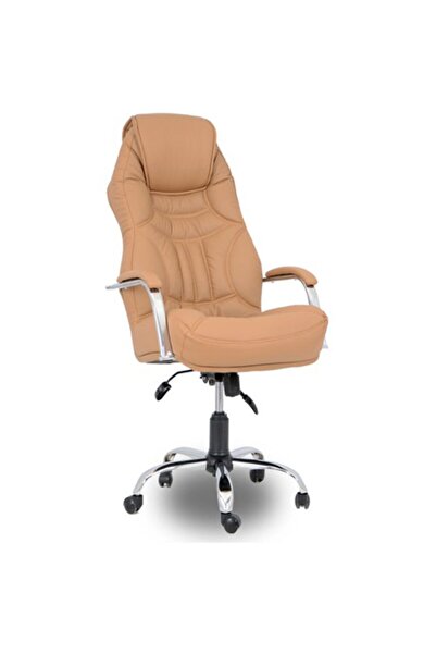 Genel Markalar Ofis Koltuğu Yönetici Koltuğu Makam Koltuğu Müdür Koltuğu Bilg...