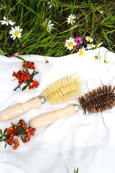 Wonwood Dish Brush Made of India Shell Herb