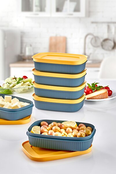 HOMENIVA 6 Adet Mini Saklama Kabı - Kapaklı Buzdolabı Kabı