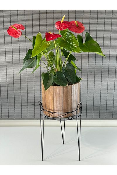 Bahçem 25.5x50cm Decorative Wrought Iron Wooden Flower Pot and Flower Pot Stand