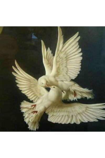 kendinyaphobi Sayılarla Boyama Seti Çerçeveli Kasnaklı Çifte Kumrular  40 x 5...