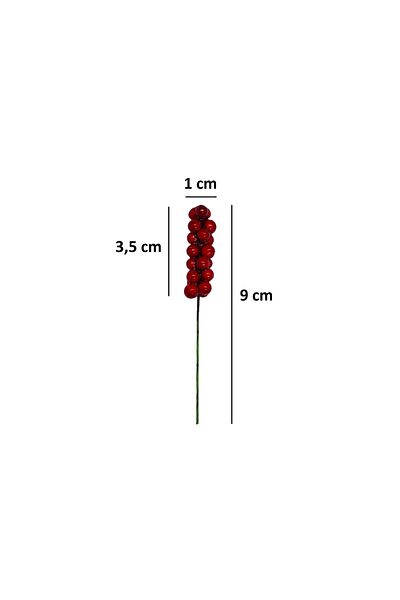 OzanTuhafiye Mini Stringed Necklace Berry Ornament 10 Pieces