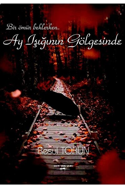 Sokak Kitapları Yayınları Ay Işığının Gölgesinde / Resul Torun / / 9786052877760