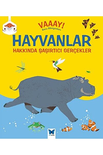 Mavi Kelebek Yayınları حقائق مثيرة للدهشة عن الحيوانات صفحة كتاب إيما دودسون ...